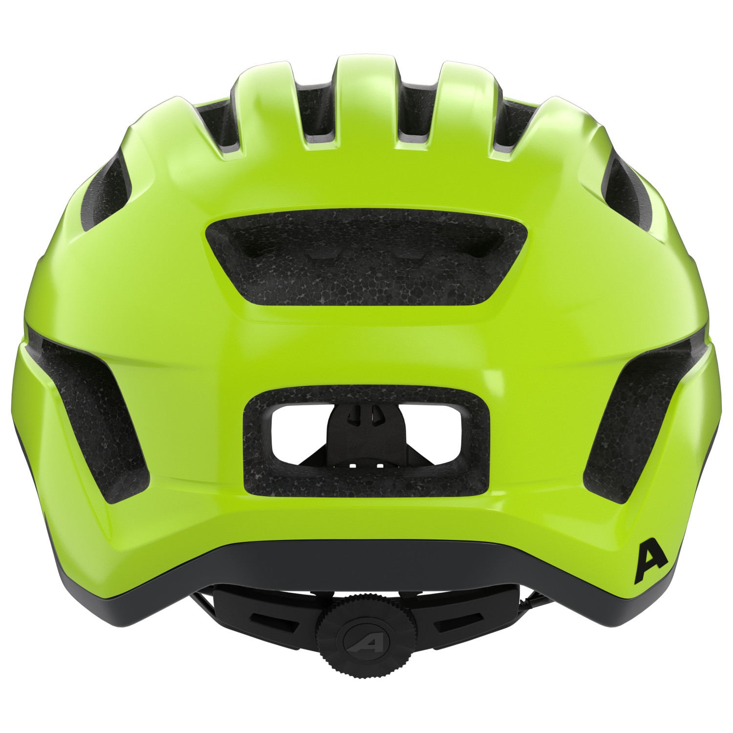 Alpina Paranus, be-visible gloss, 59-61