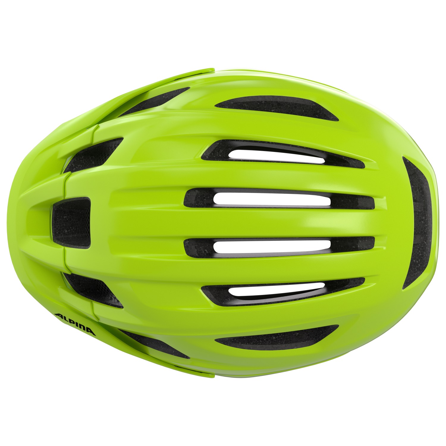 Alpina Paranus, be-visible gloss, 59-61