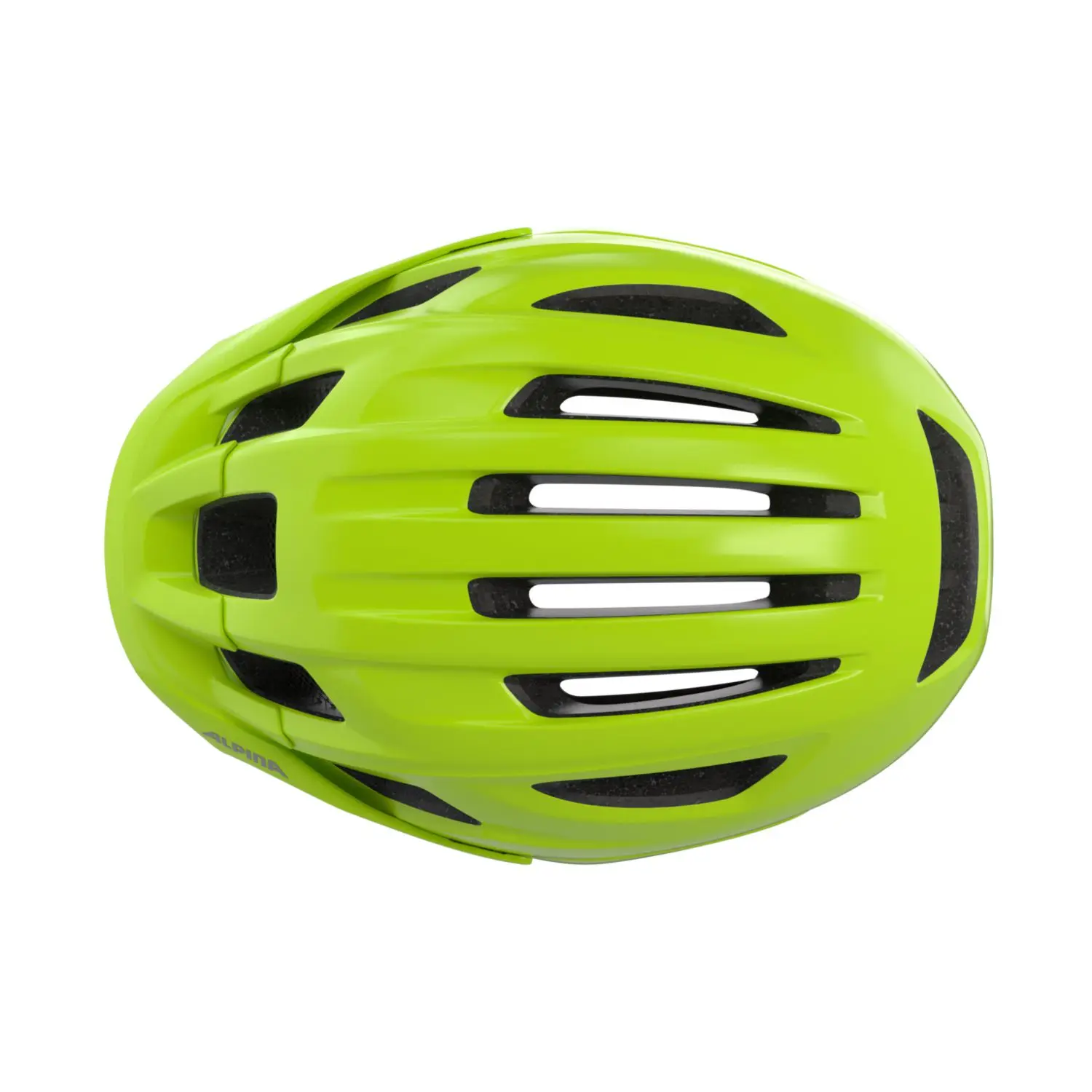 Alpina Paranus Mips, be-visible grey matt, 52-56