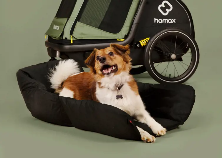 Hamax Dog Bed Pluto, Navy Blau/Schwarz